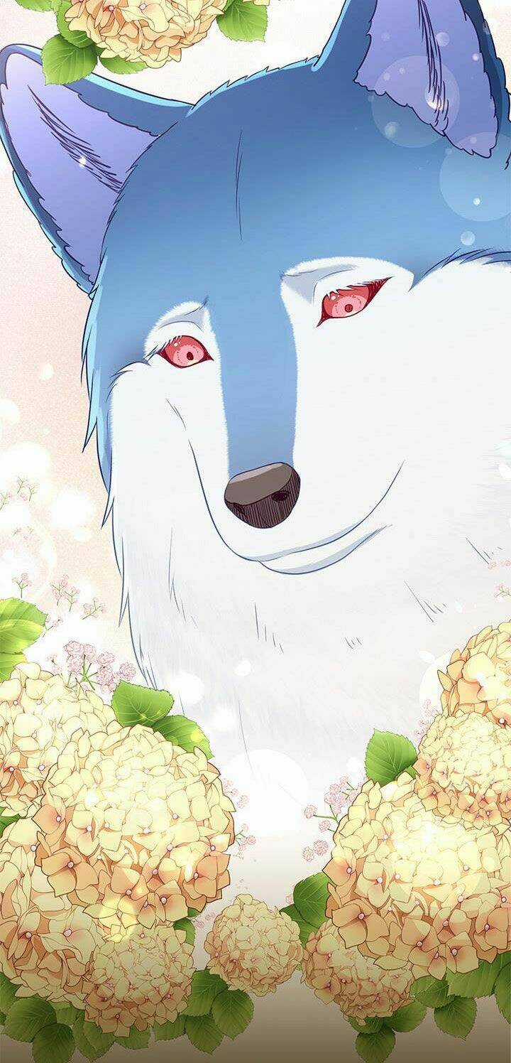 Hãy Coi Chừng Ác Nữ Chapter 95 trang 42