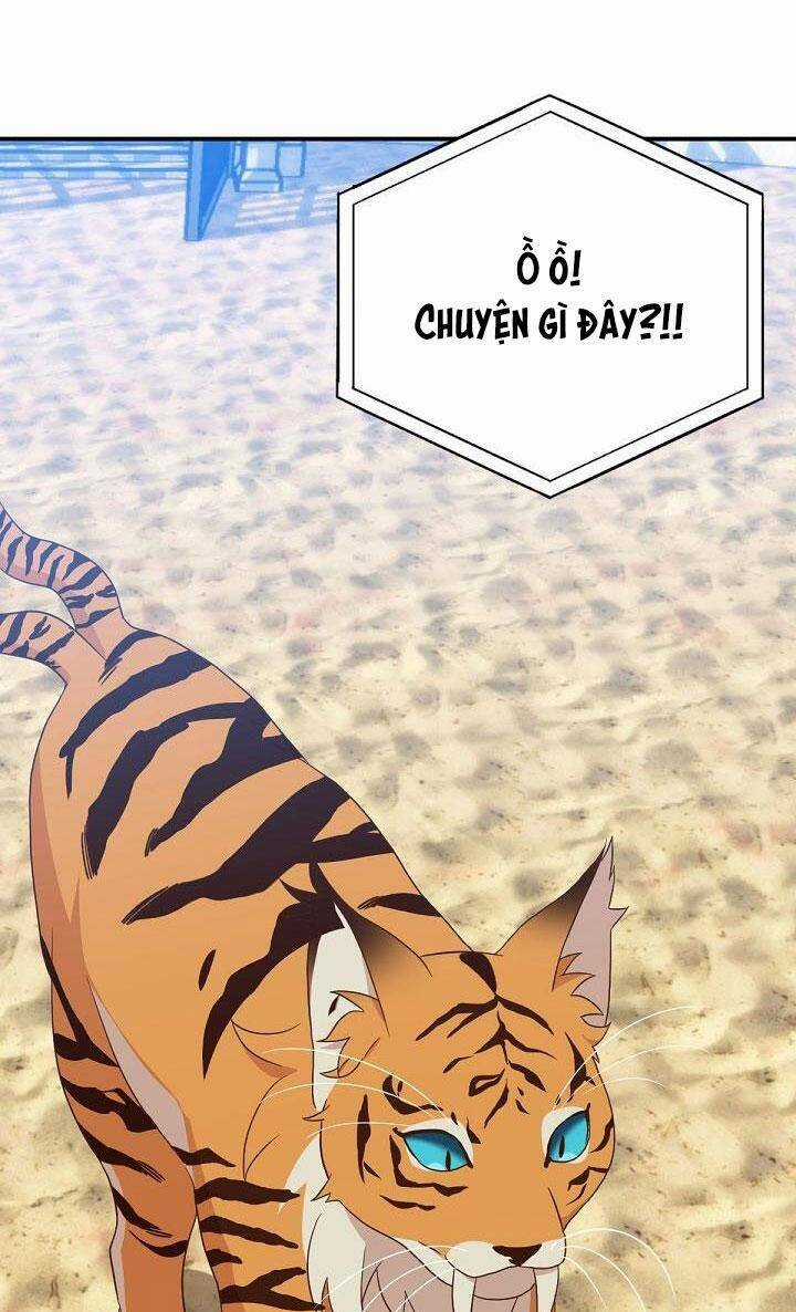 Hãy Dậy Đi Hỡi Chiến Binh Chapter 72 trang 11