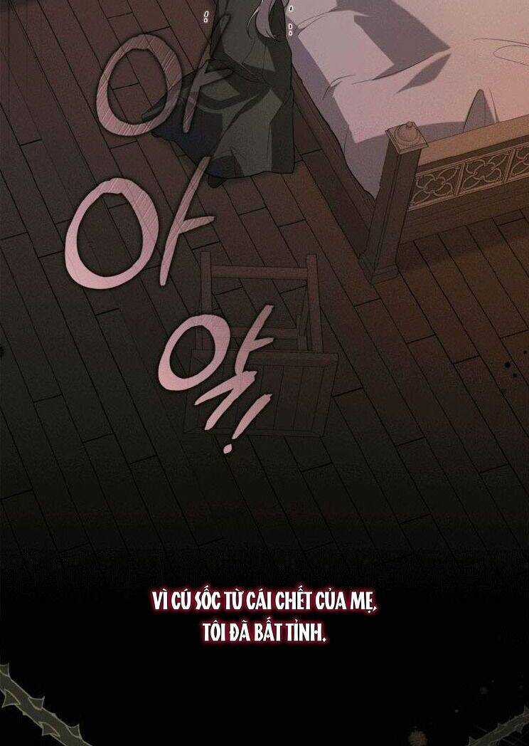 Hãy Ủng Hộ Kế Hoạch Trả Thù Của Tôi Chương 1 trang 67