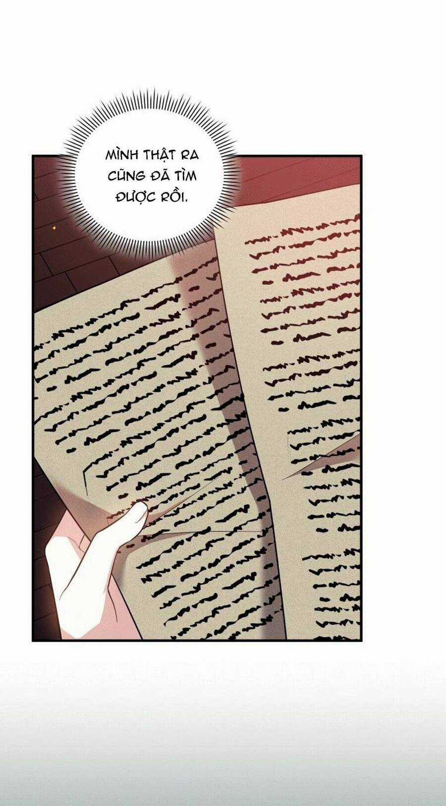 Hãy Ủng Hộ Kế Hoạch Trả Thù Của Tôi Chương 2 trang 28