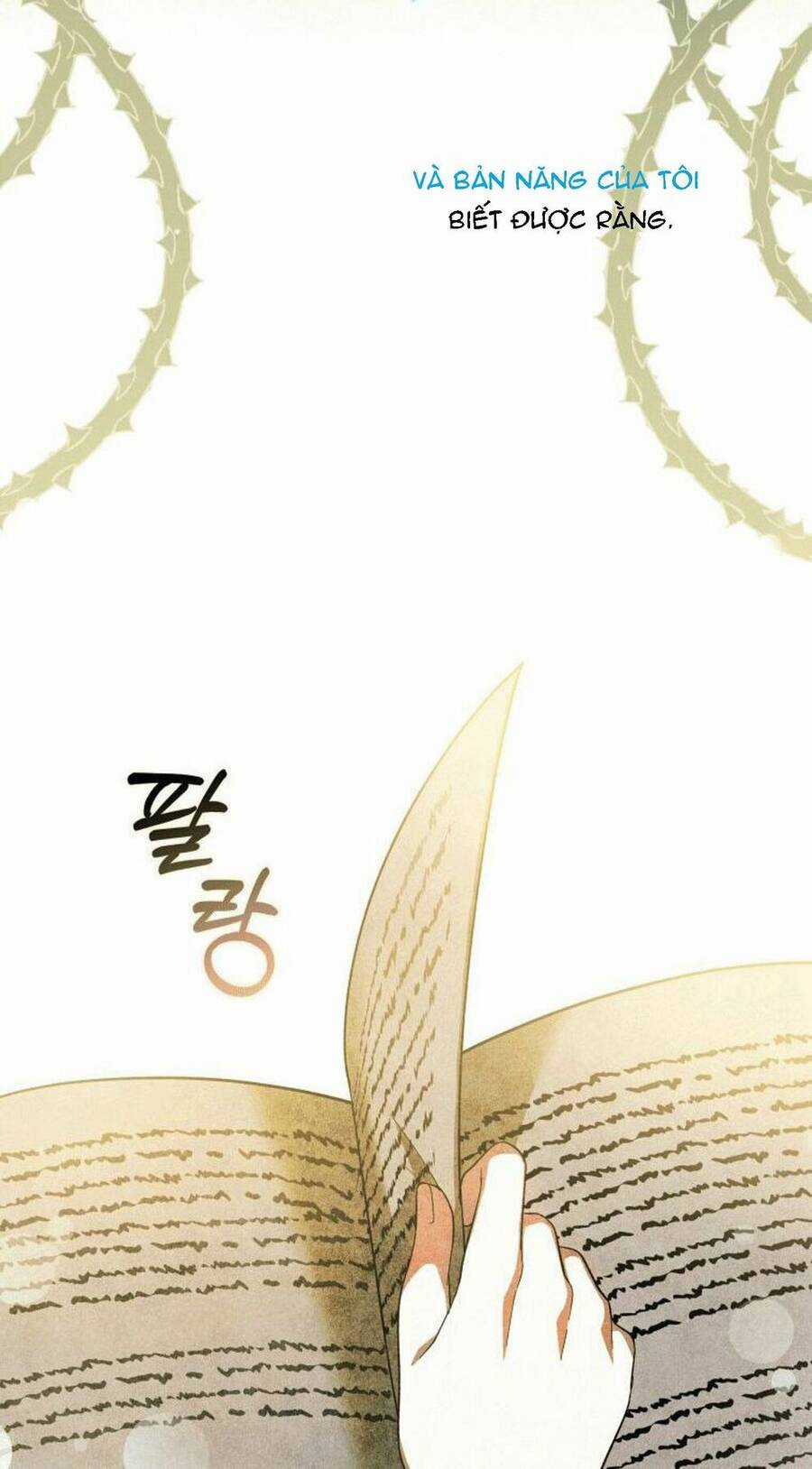 Hãy Ủng Hộ Kế Hoạch Trả Thù Của Tôi Chương 2 trang 6