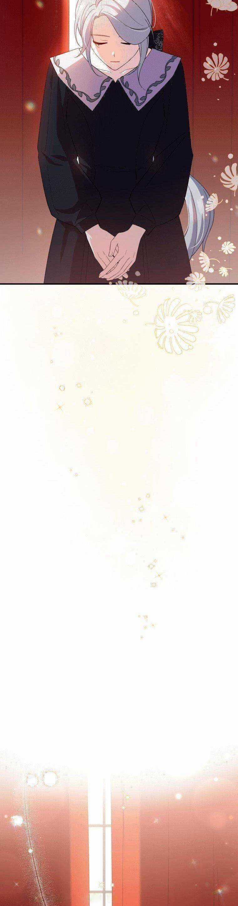 Hãy Ủng Hộ Kế Hoạch Trả Thù Của Tôi Chương 3 trang 14