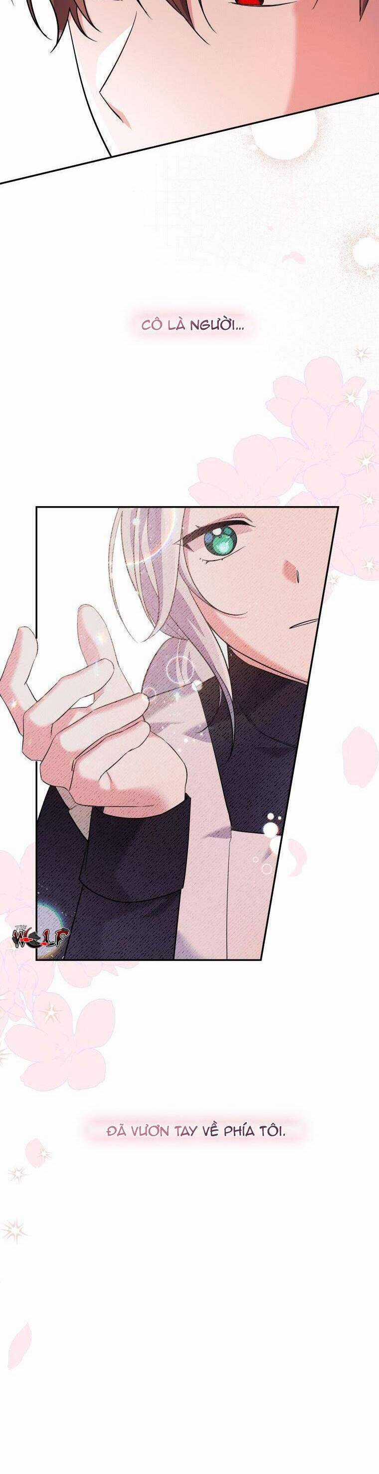 Hãy Ủng Hộ Kế Hoạch Trả Thù Của Tôi Chương 8 trang 22