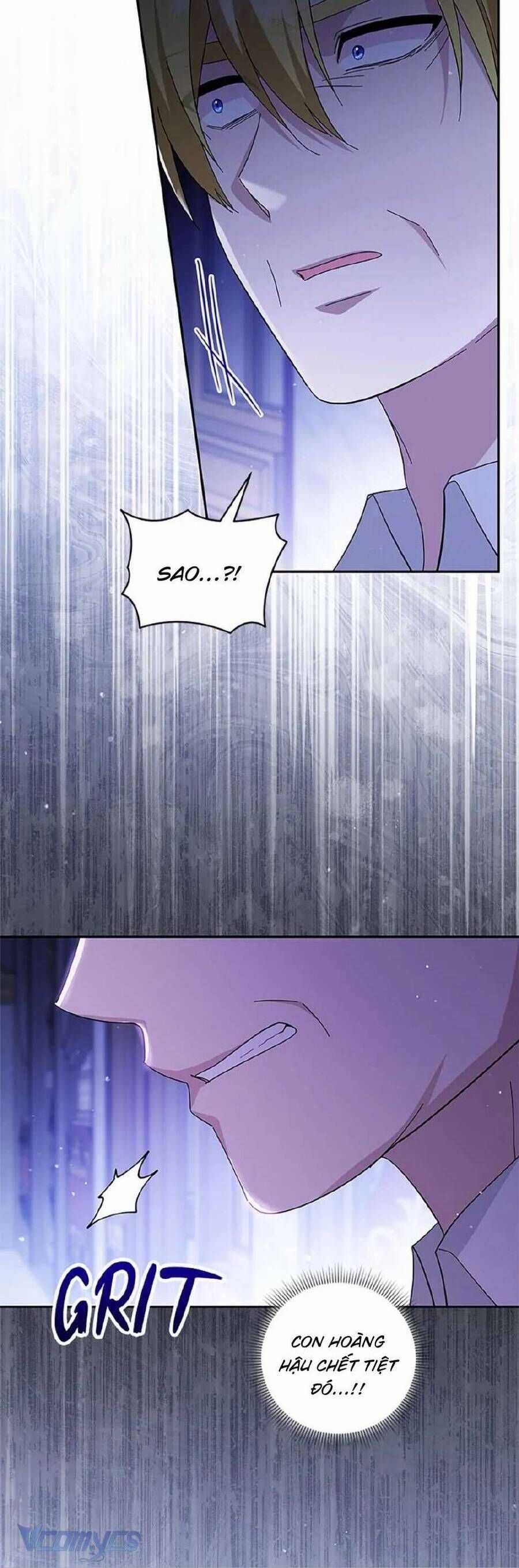 Hãy Ủng Hộ Kế Hoạch Trả Thù Của Tôi Chương 96 trang 14