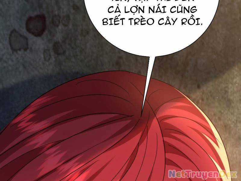 Hệ Thống Hèn Mọn Quỳ Xuống Cầu Xin Ta Vô Địch Chương 26 trang 23