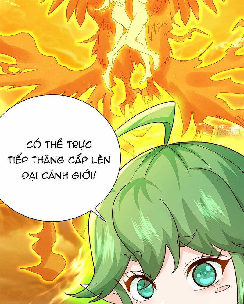 Hệ Thống Hèn Mọn Quỳ Xuống Cầu Xin Ta Vô Địch Chương 3 trang 21