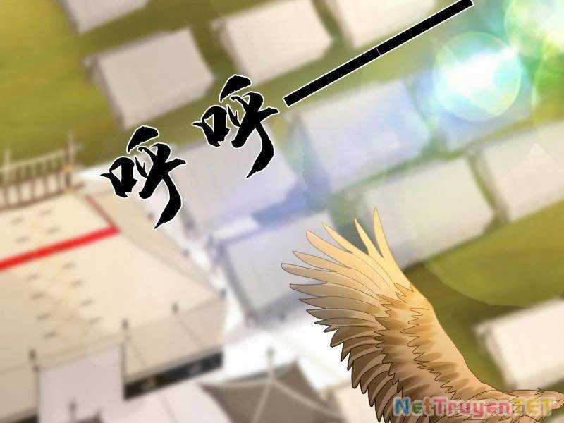 Hệ Thống Hèn Mọn Quỳ Xuống Cầu Xin Ta Vô Địch Chương 36 trang 70