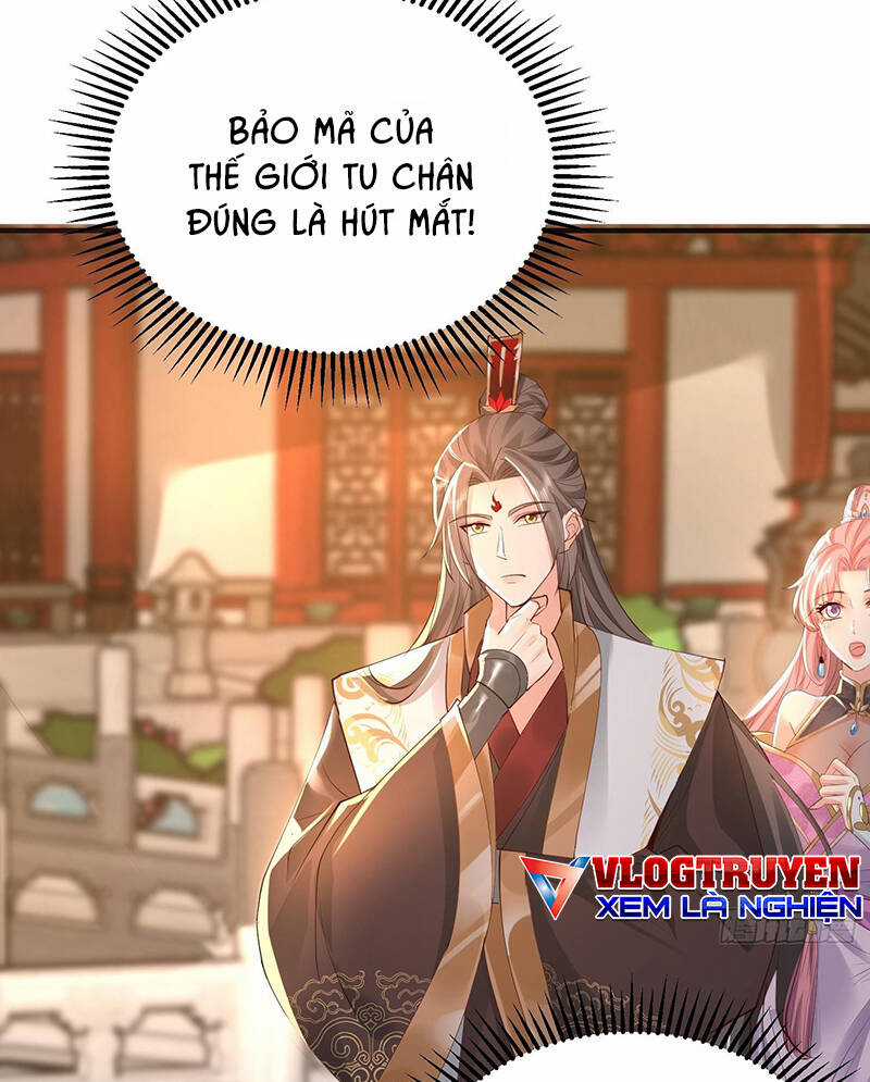 Hệ Thống Hèn Mọn Quỳ Xuống Cầu Xin Ta Vô Địch Chương 4 trang 14