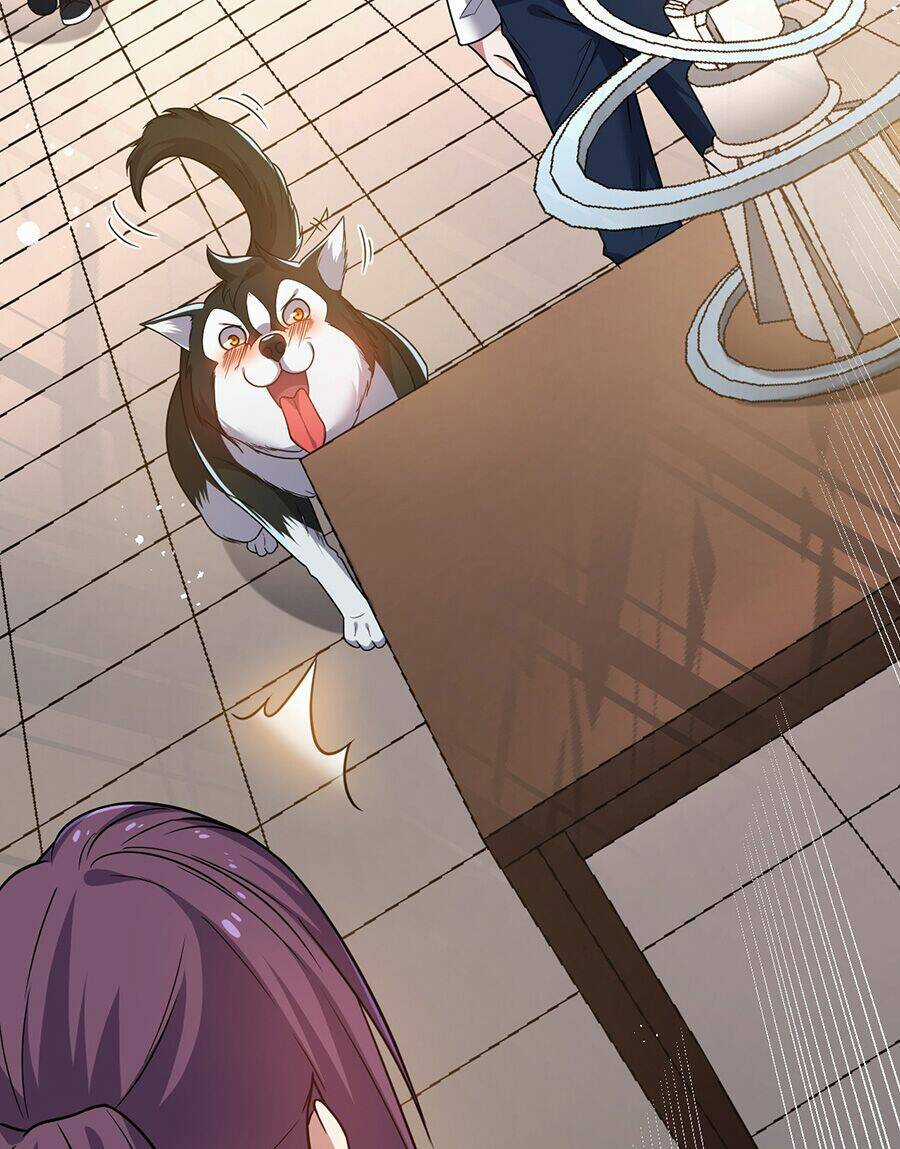 Hệ Thống Mô Phỏng Linh Sủng Chapter 11 trang 50