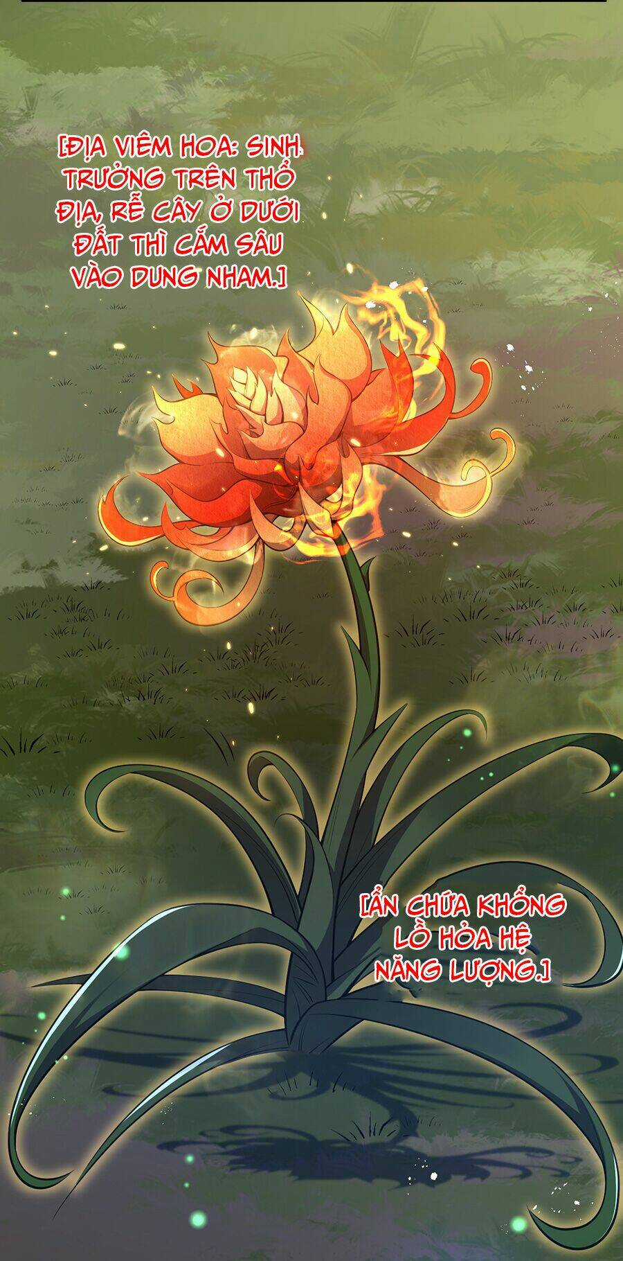 Hệ Thống Mô Phỏng Linh Sủng Chapter 13 trang 36