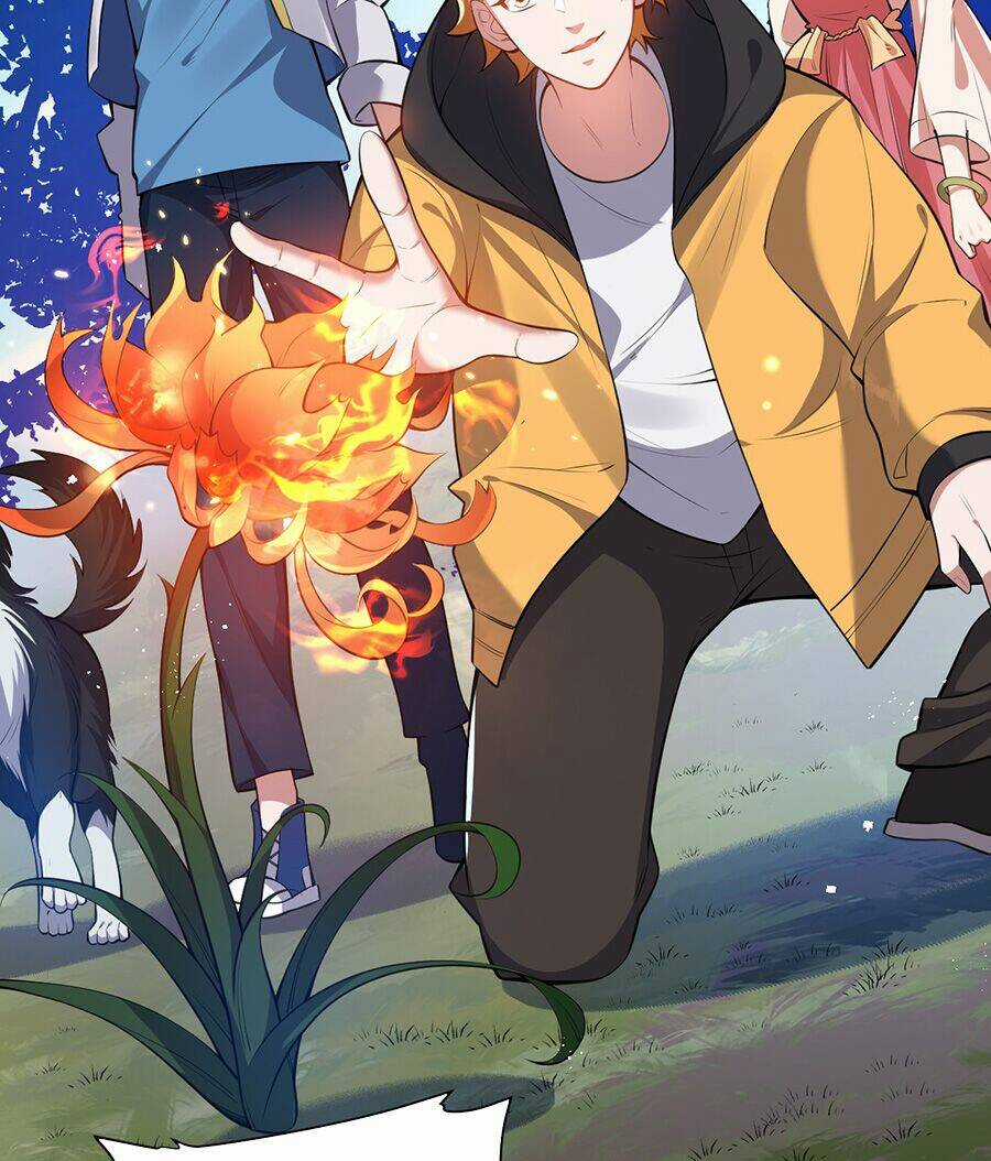 Hệ Thống Mô Phỏng Linh Sủng Chapter 13 trang 40