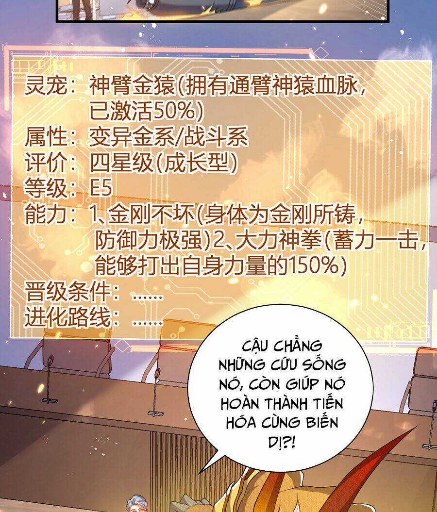 Hệ Thống Mô Phỏng Linh Sủng Chapter 21 trang 9