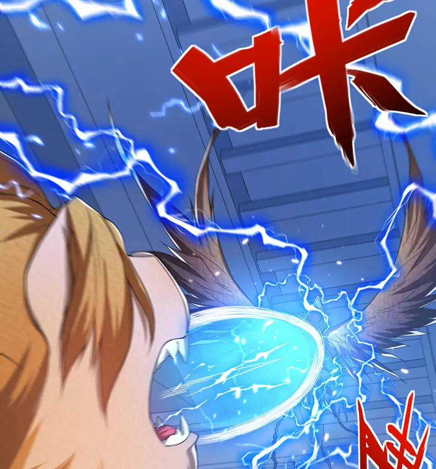 Hệ Thống Mô Phỏng Linh Sủng Chapter 25 trang 68