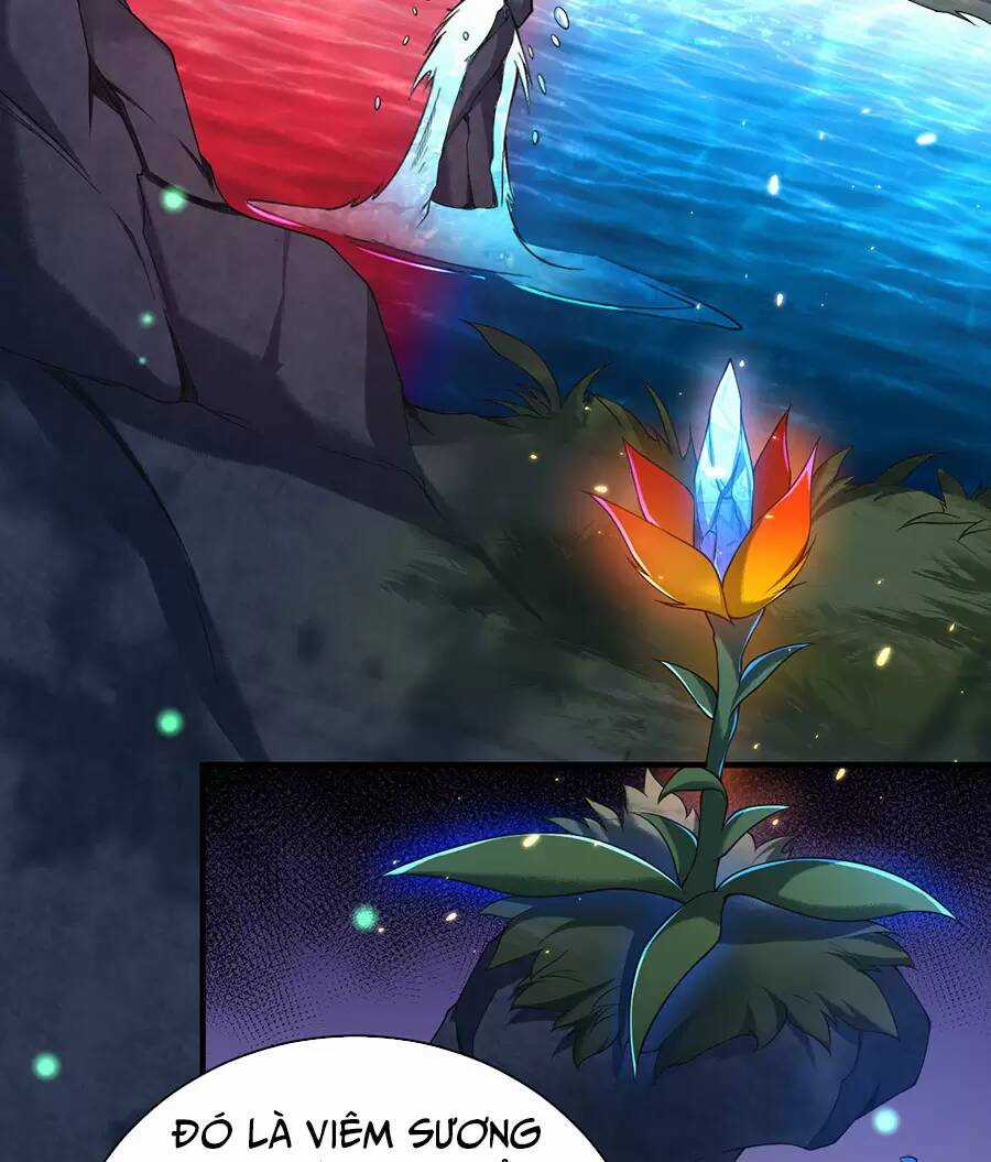 Hệ Thống Mô Phỏng Linh Sủng Chapter 28 trang 33