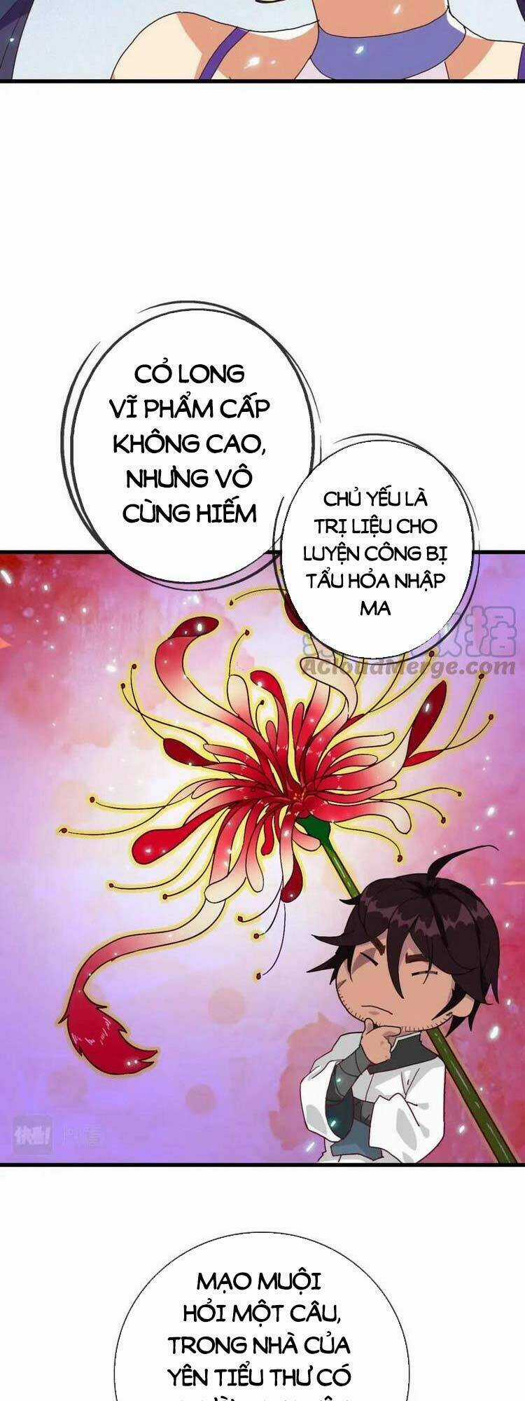 Hệ Thống Thăng Cấp Điên Cuồng Chapter 24 trang 19