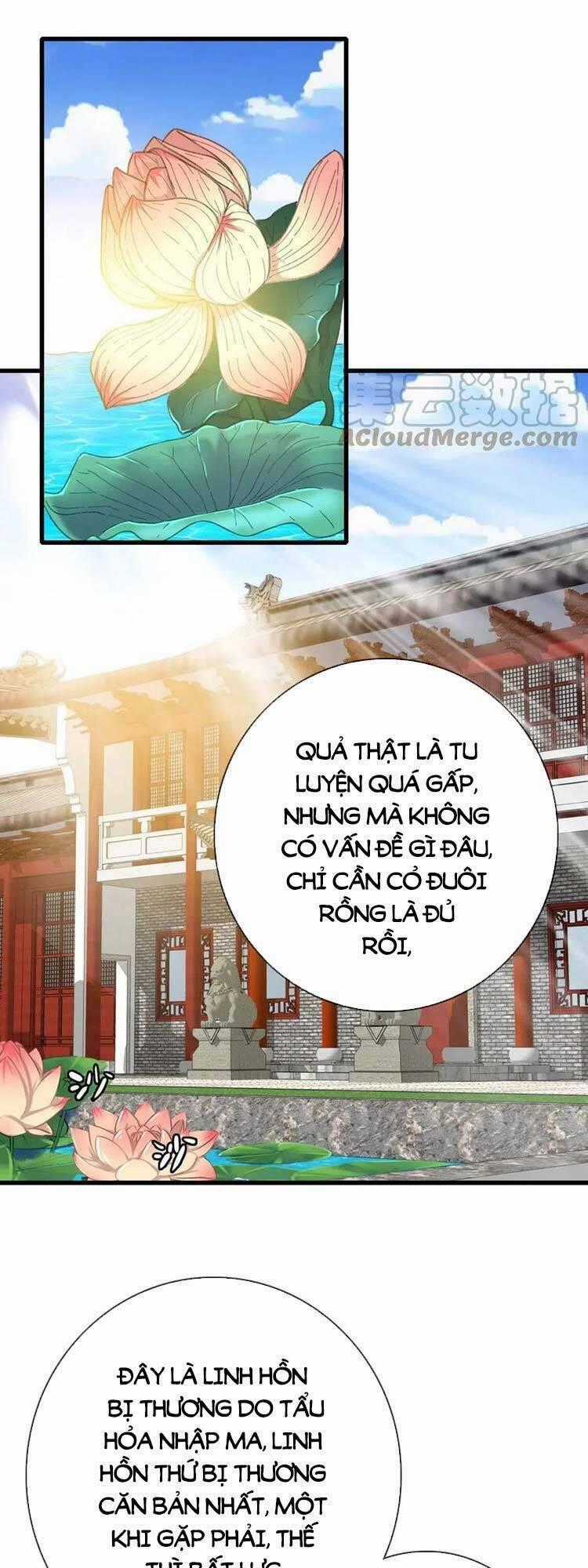 Hệ Thống Thăng Cấp Điên Cuồng Chapter 29 trang 0