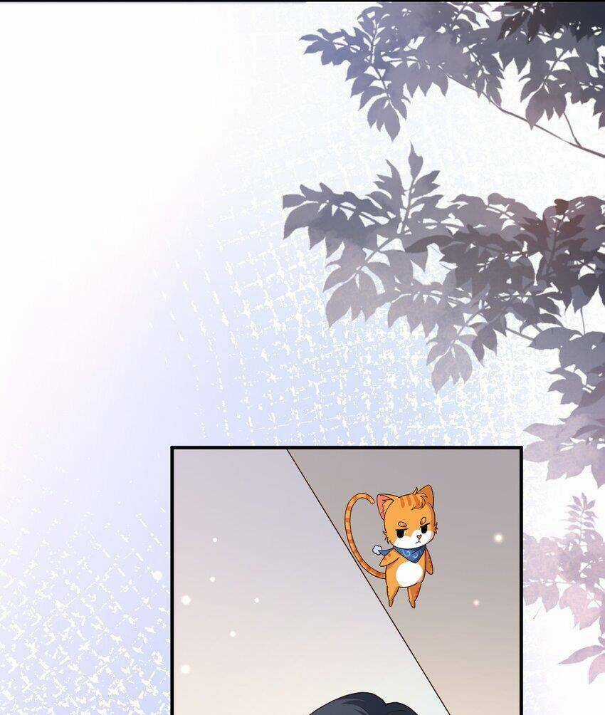 Hệ Thống Xuyên Nhanh: Tên Tra Nam Này Có Gì Đó Không Đúng Lắm! Chapter 16 trang 20