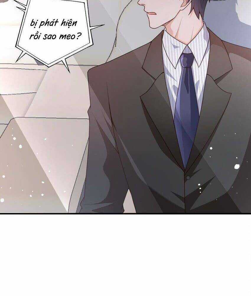 Hệ Thống Xuyên Nhanh: Tên Tra Nam Này Có Gì Đó Không Đúng Lắm! Chapter 16 trang 23