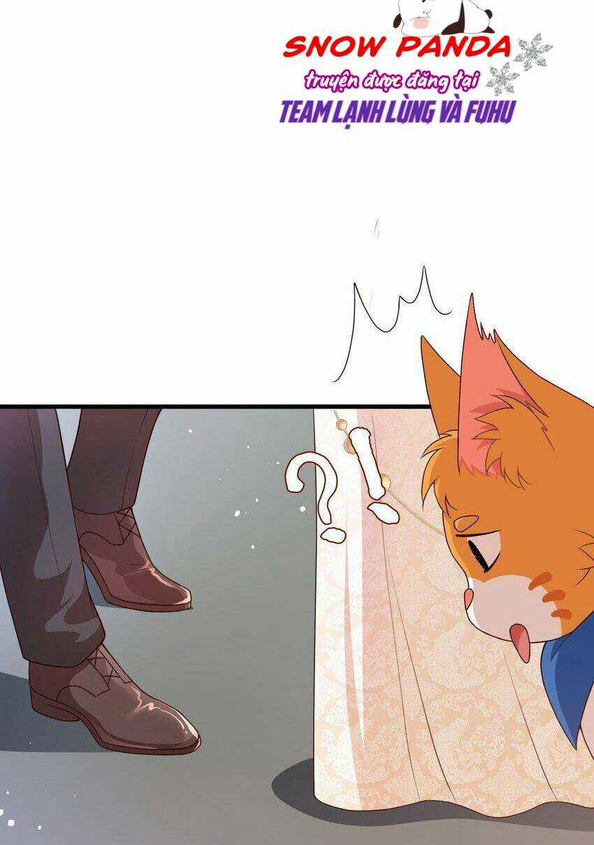 Hệ Thống Xuyên Nhanh: Tên Tra Nam Này Có Gì Đó Không Đúng Lắm! Chapter 16 trang 7