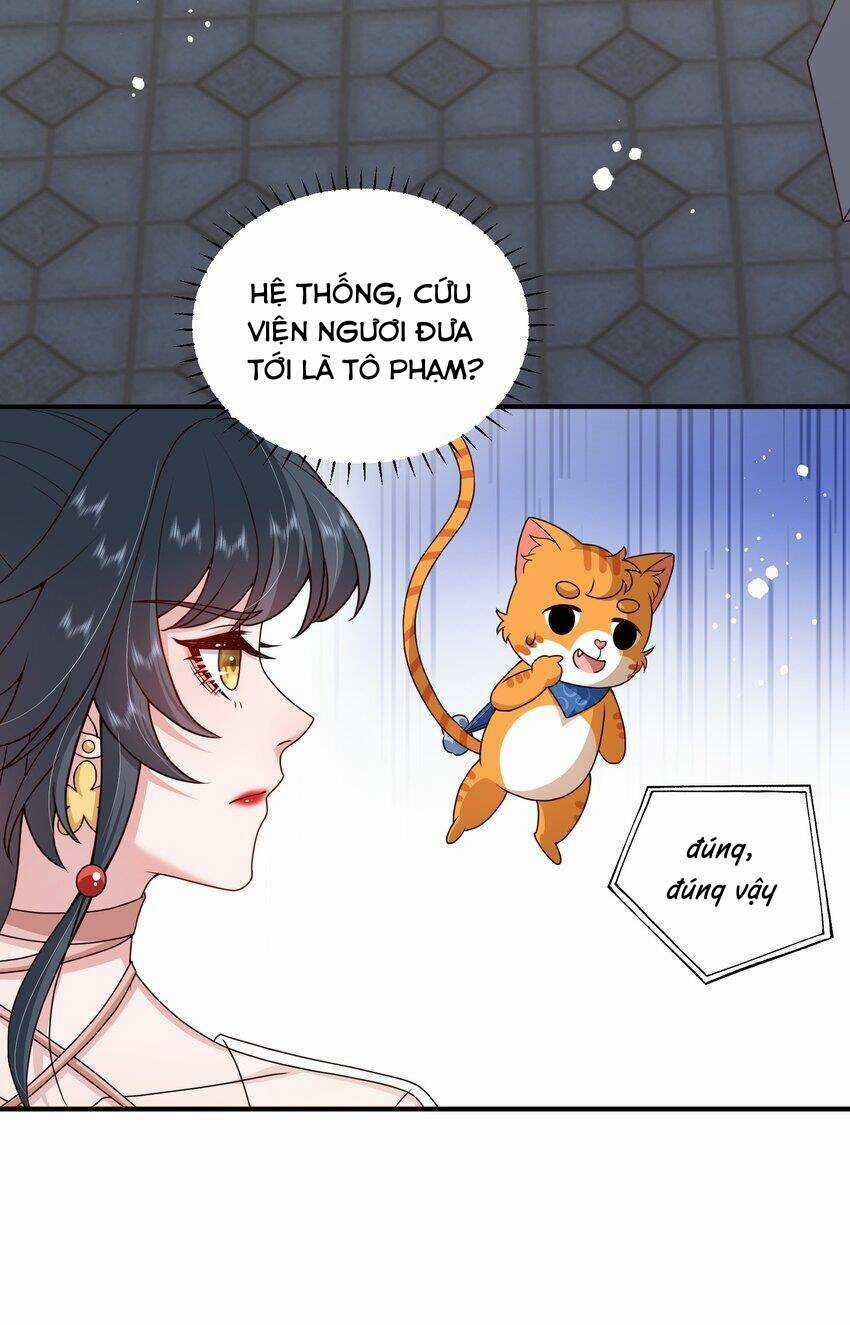 Hệ Thống Xuyên Nhanh: Tên Tra Nam Này Có Gì Đó Không Đúng Lắm! Chapter 17 trang 44