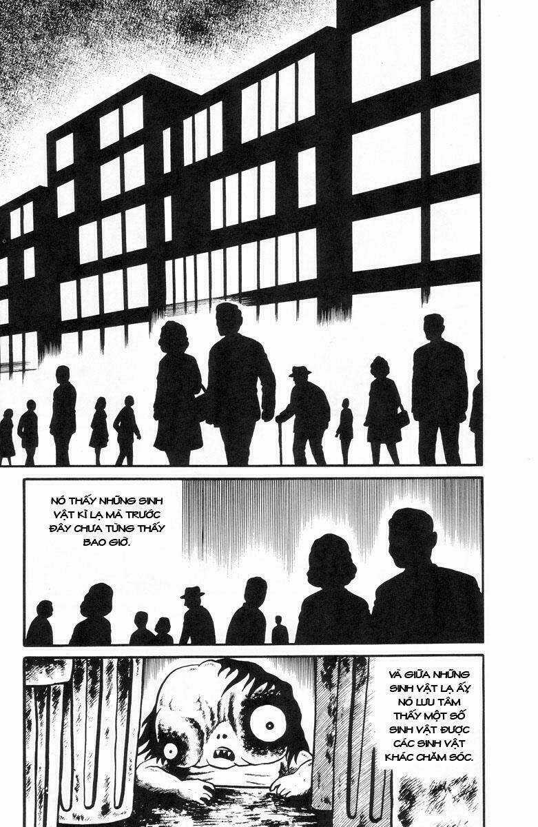 Hell Baby Chapter 3 trang 4