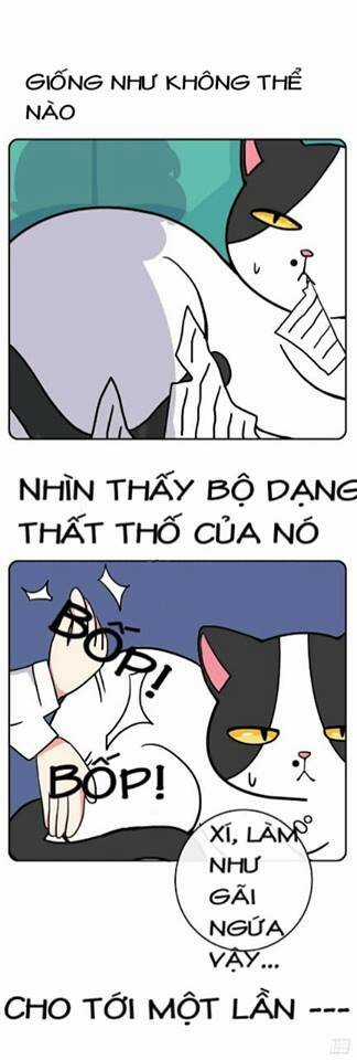 Hello Dư Tuyết Đặc Chapter 2 trang 4