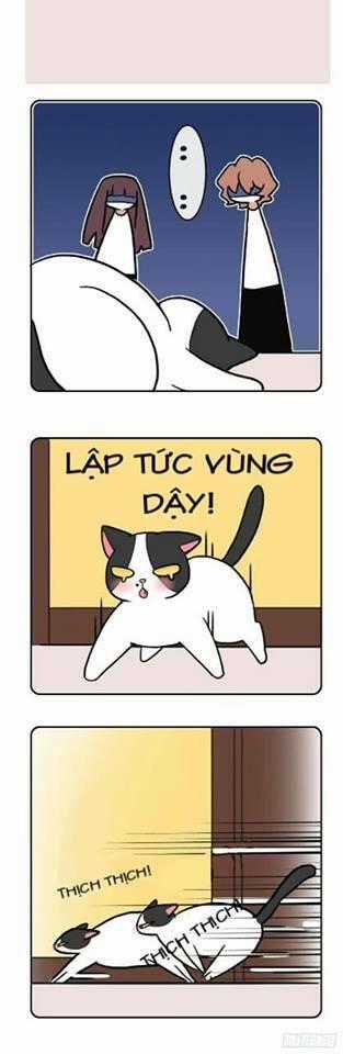 Hello Dư Tuyết Đặc Chapter 2 trang 9