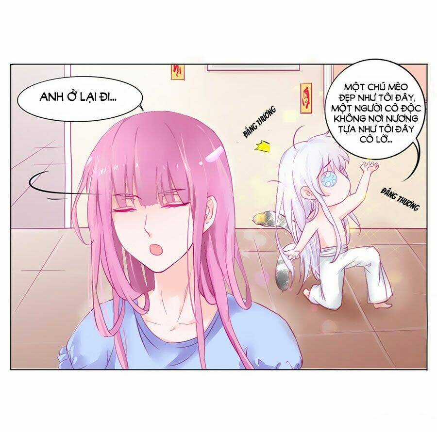 Hello Miêu Tiên Sinh Chapter 2 trang 18
