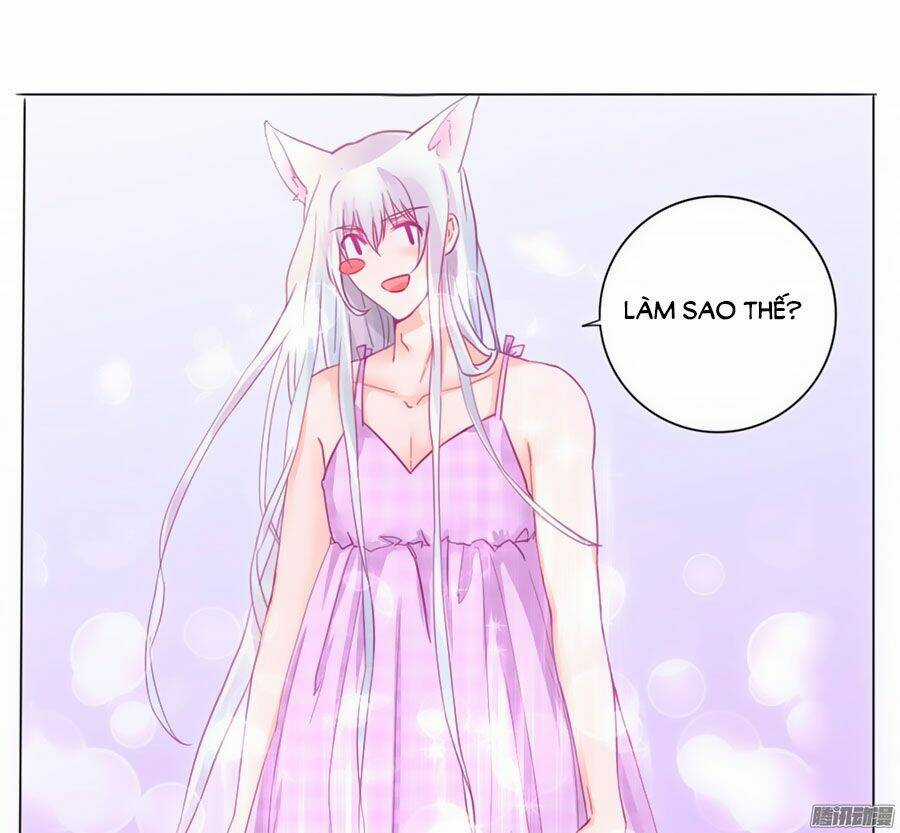 Hello Miêu Tiên Sinh Chapter 2 trang 27