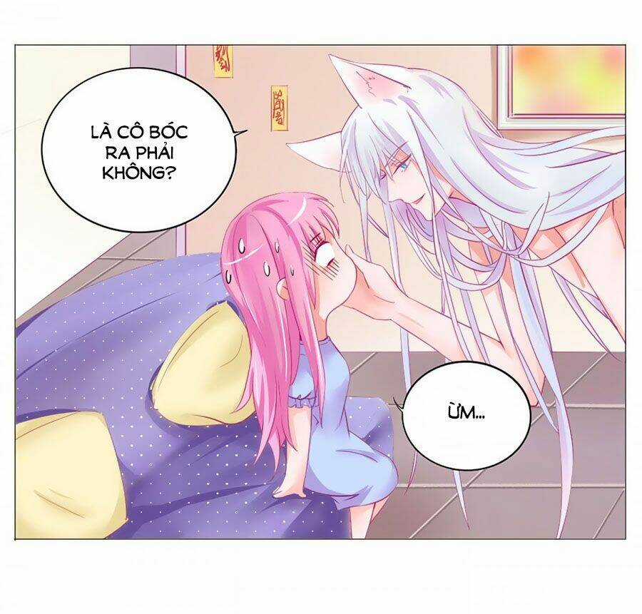 Hello Miêu Tiên Sinh Chapter 2 trang 7