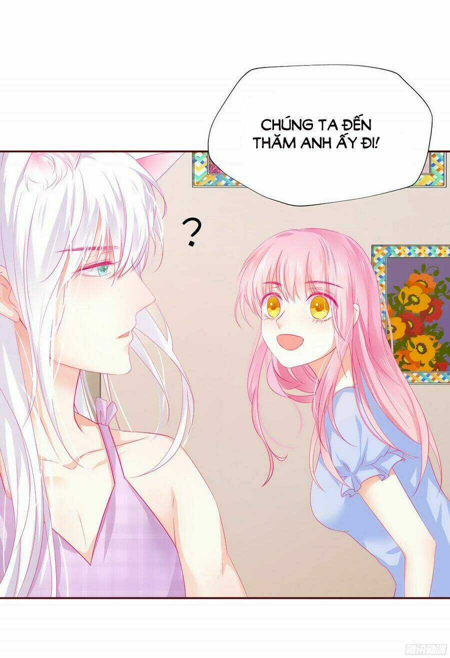 Hello Miêu Tiên Sinh Chapter 4 trang 35
