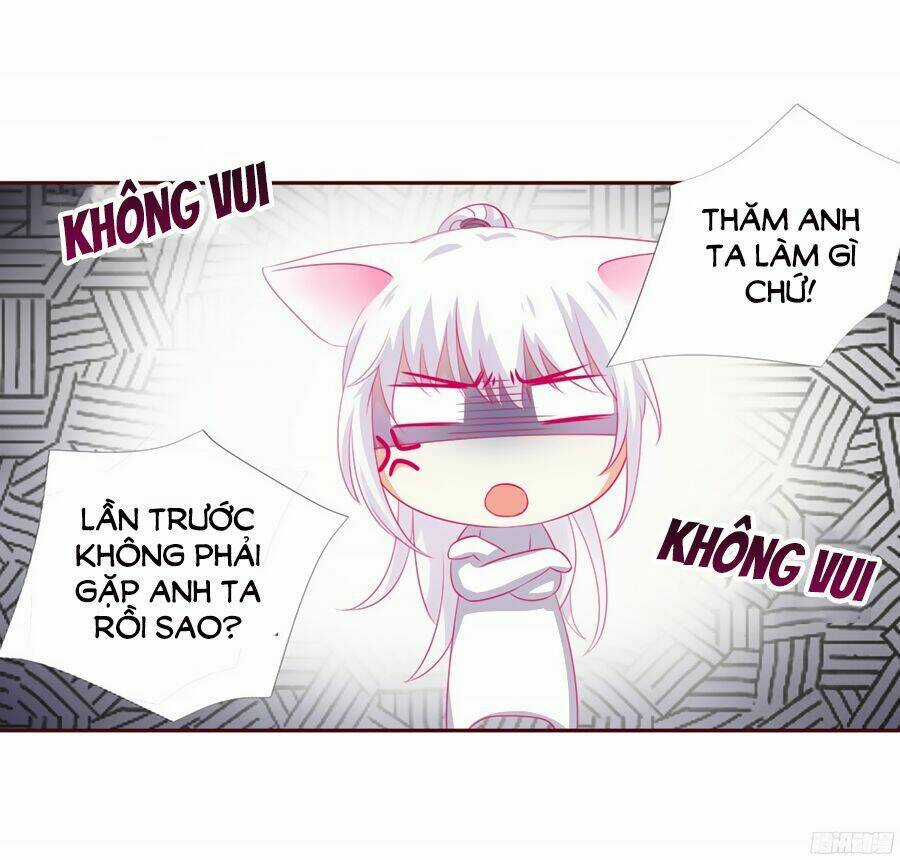 Hello Miêu Tiên Sinh Chapter 4 trang 36