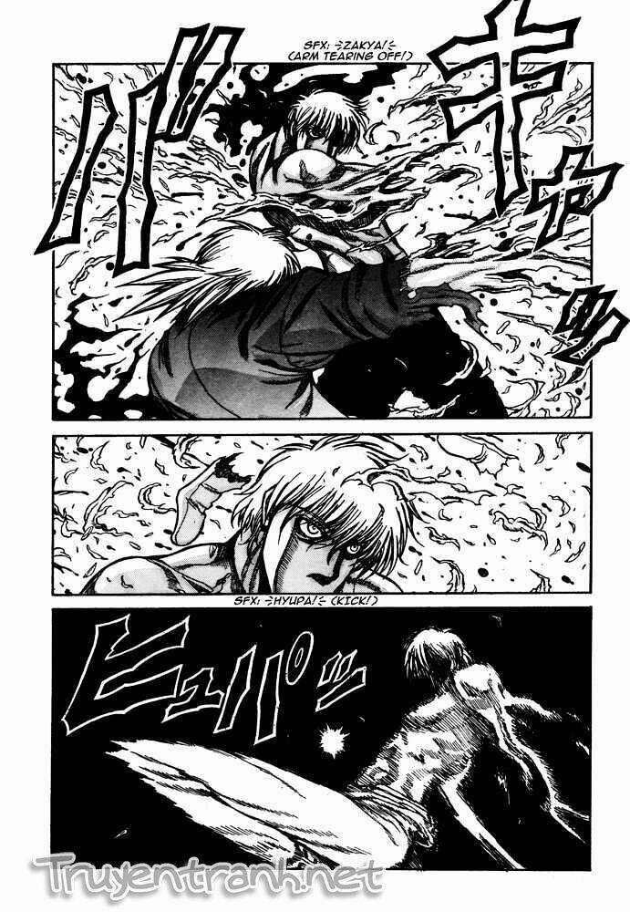 Hellsing Chapter 86 trang 13