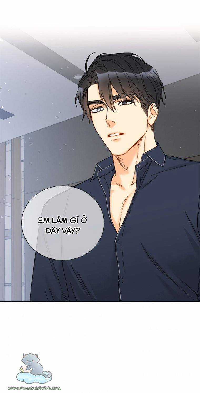 Hẹn Hò Chốn Công Sở Chapter 113 trang 7