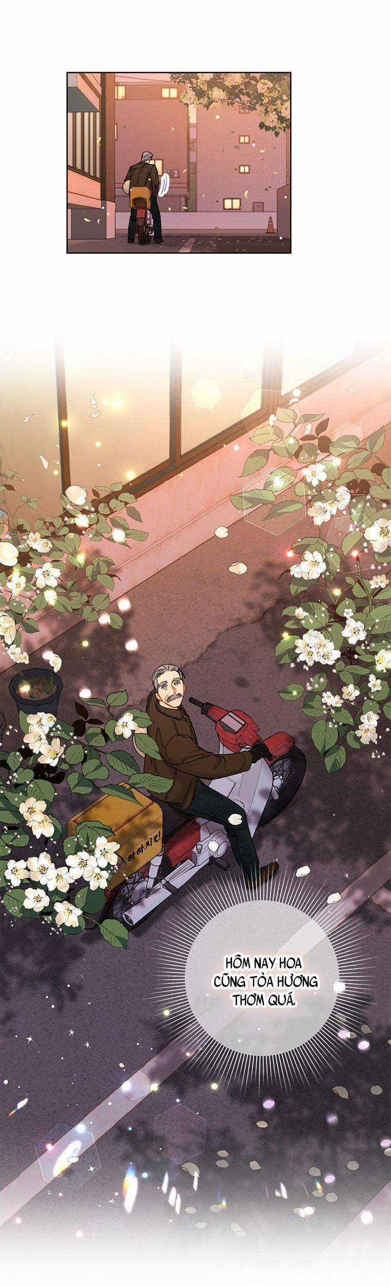 Hẹn Hò Chốn Công Sở Chapter 116 trang 29