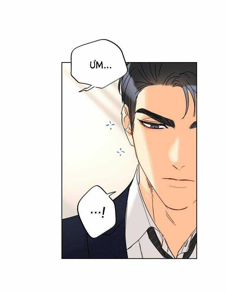 Hẹn Hò Nơi Công Sở Chapter 122 trang 41