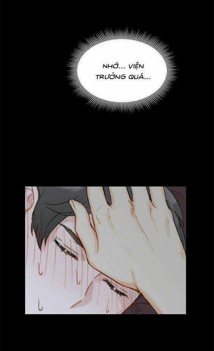 Hẹn Hò Nơi Công Sở Chapter 23 trang 19