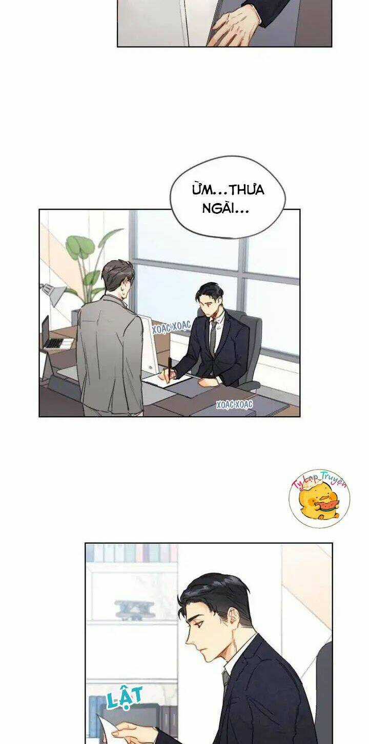 Hẹn Hò Nơi Công Sở Chapter 3 trang 2