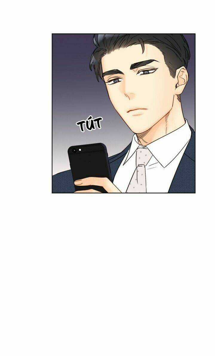 Hẹn Hò Nơi Công Sở Chapter 63 trang 52