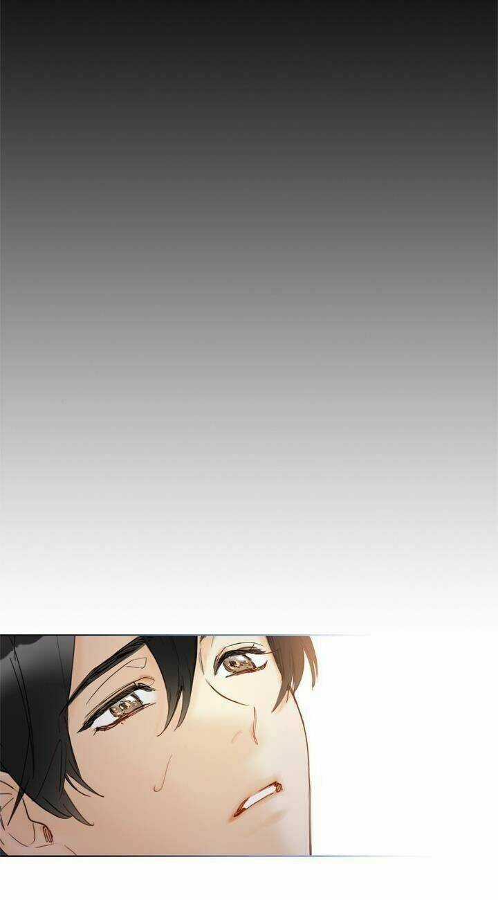 Hẹn Hò Nơi Công Sở Chapter 67 trang 67