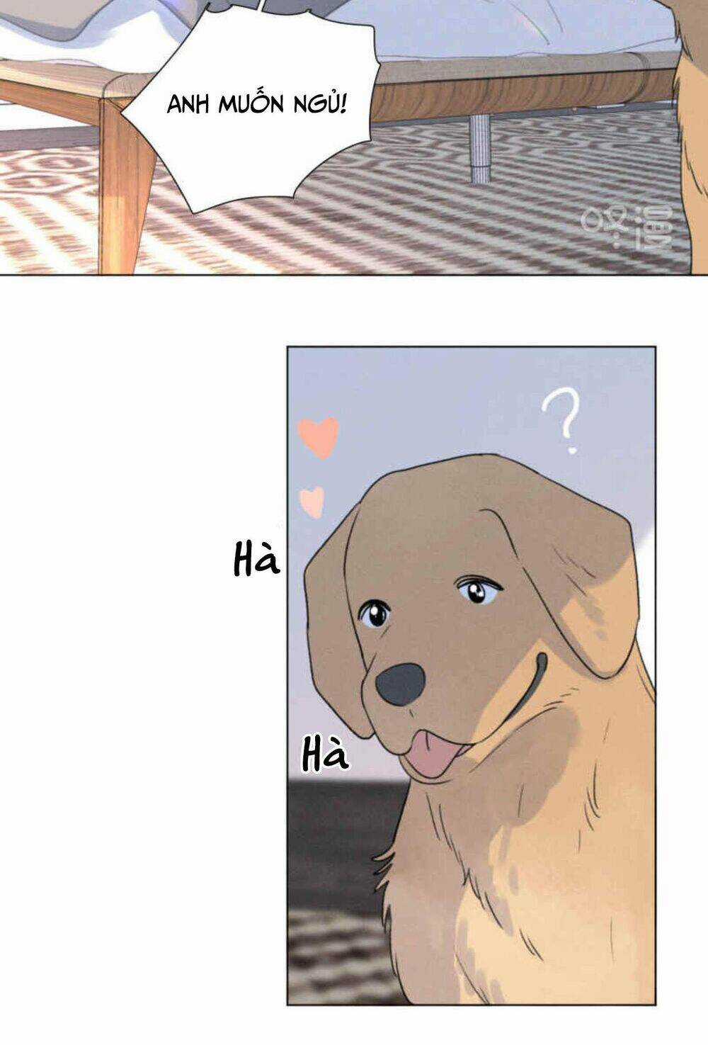 Here U Are Chapter 110.1 trang 5