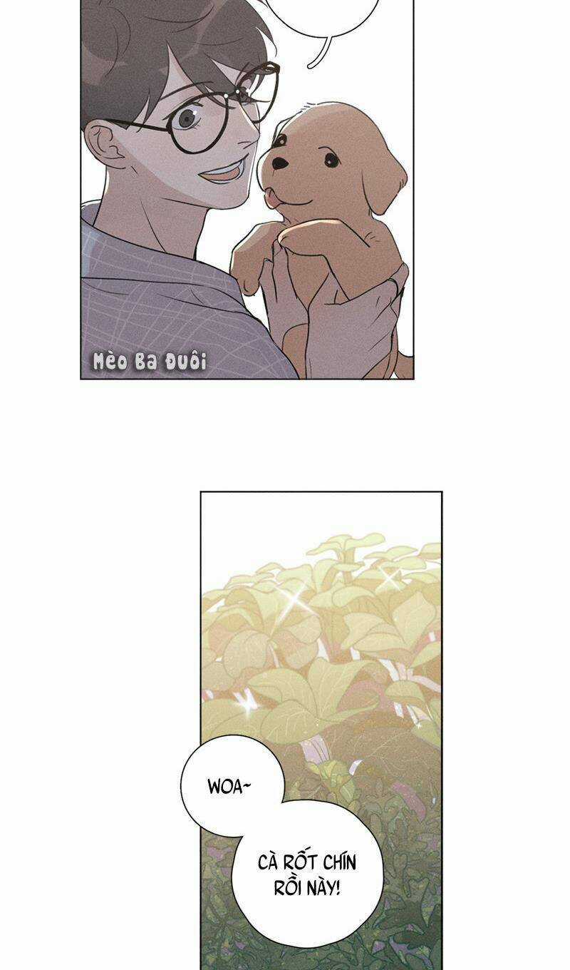 Here U Are Chapter 134 trang 2