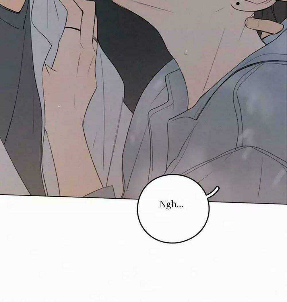 Here U Are Chapter 36 trang 11