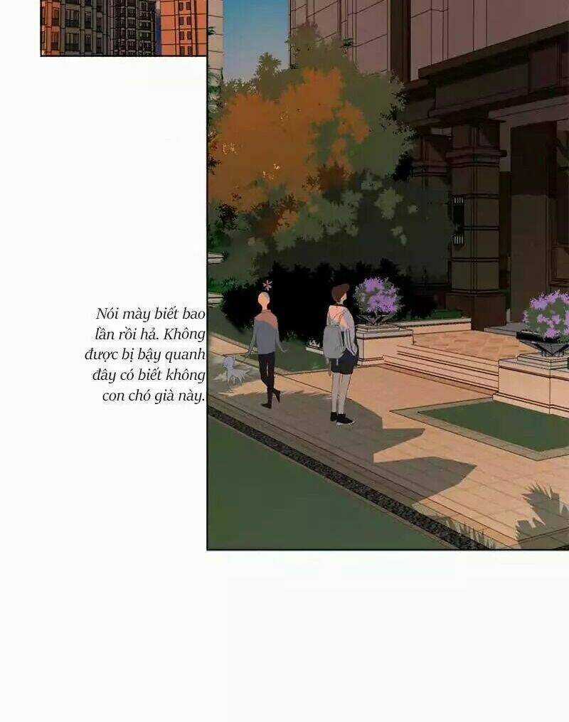 Here U Are Chapter 49 trang 19