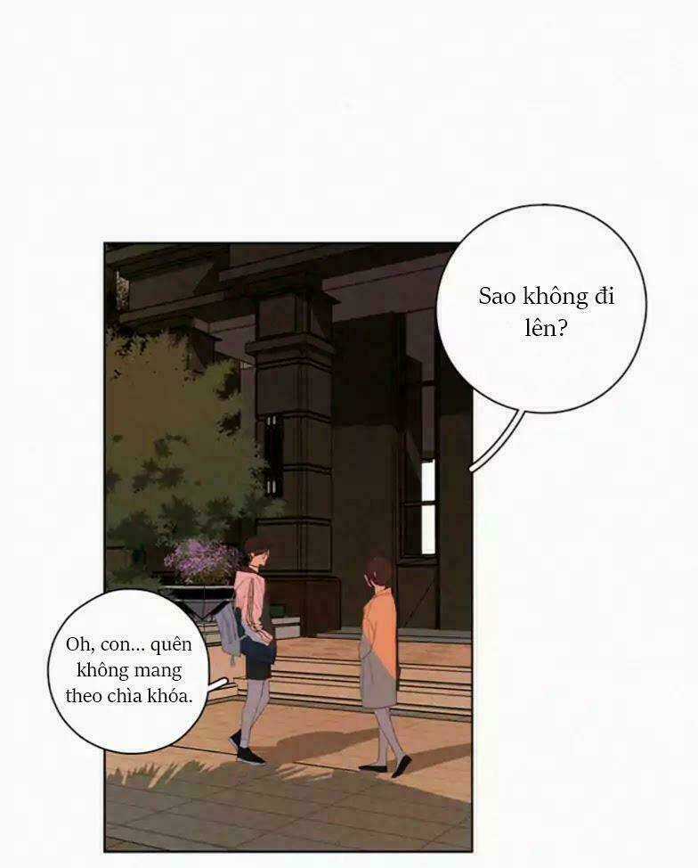 Here U Are Chapter 50 trang 3