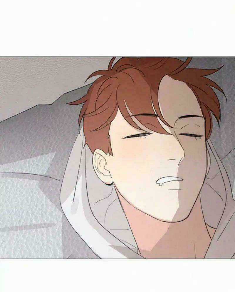 Here U Are Chapter 67 trang 31