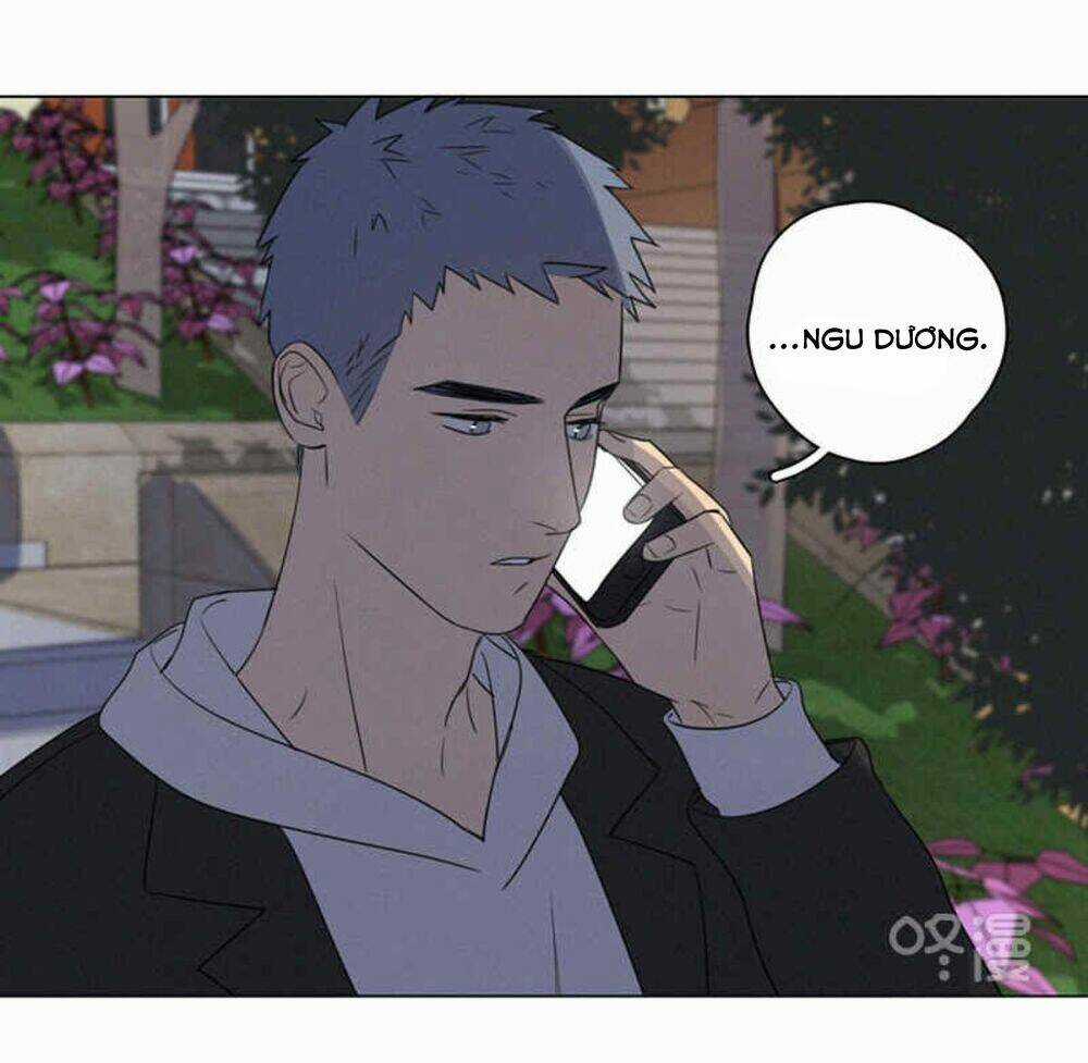 Here U Are Chapter 80 trang 50