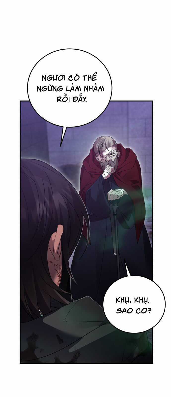 Hero X Demon King X Villain Chương 117 trang 28