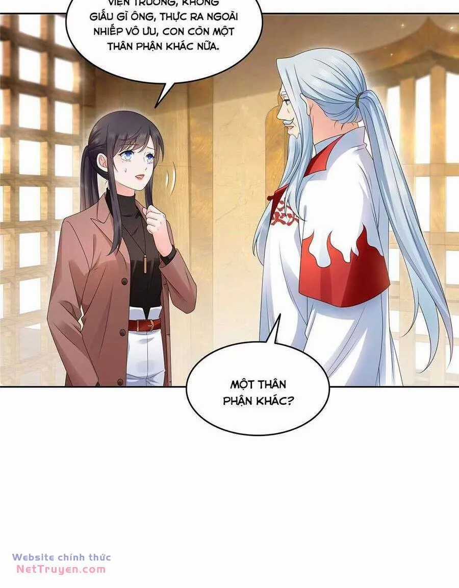 Hệt Như Hàn Quang Gặp Nắng Gắt Chapter 539 trang 4