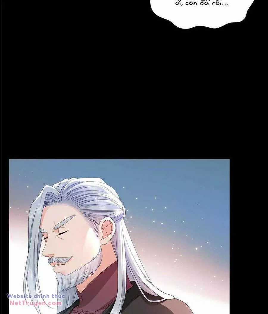 Hệt Như Hàn Quang Gặp Nắng Gắt Chapter 539 trang 41